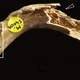 Image for article titled Grim Discovery Confirms Cannibalism Among Early Britons